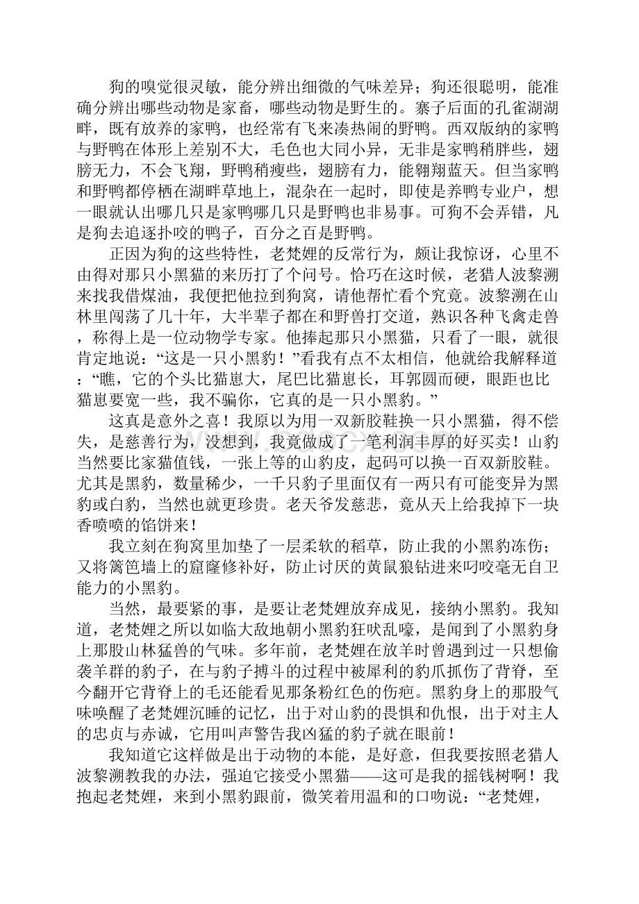 沈石溪作品牧羊豹全文.docx_第3页