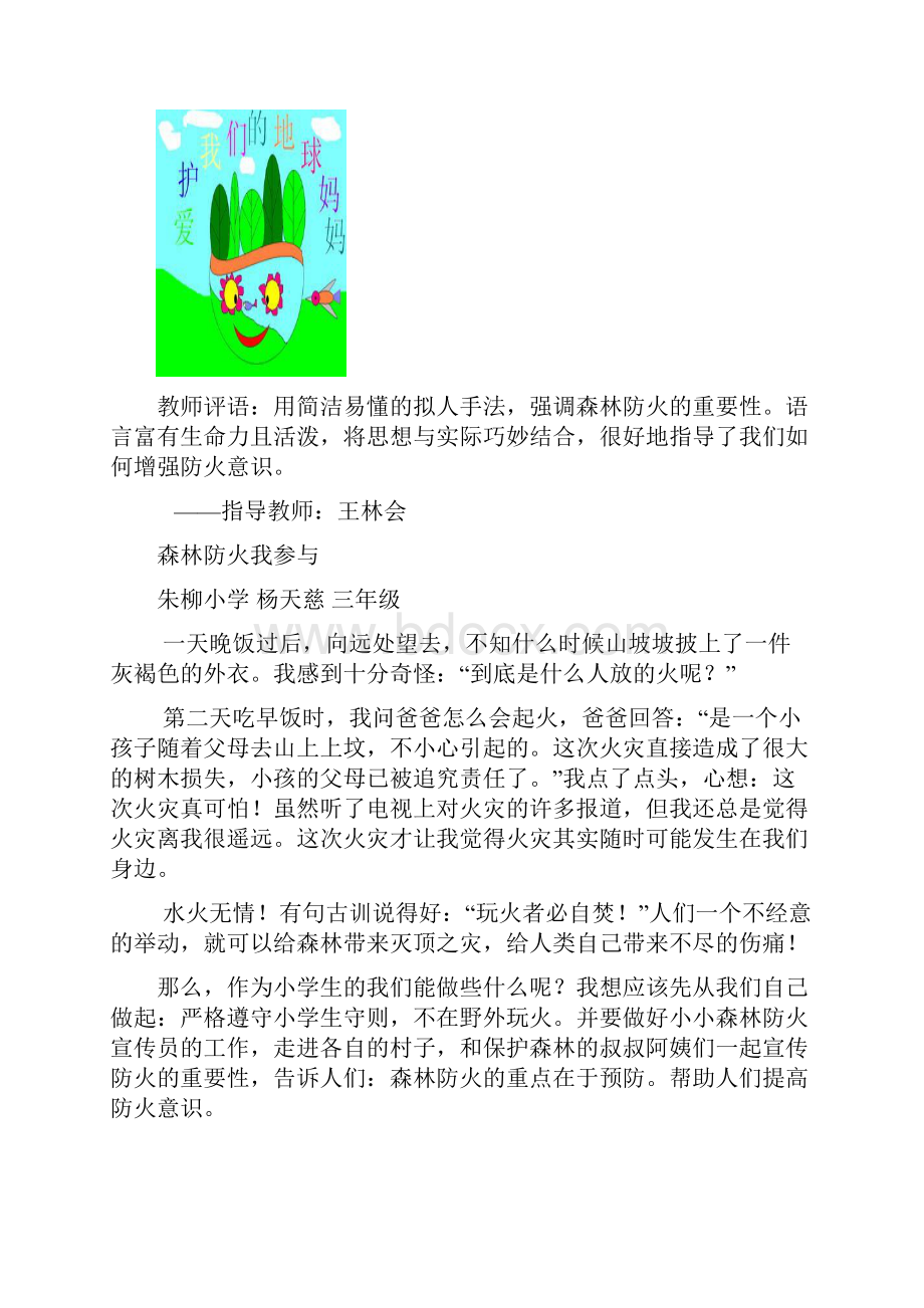 森林防火优秀作文集.docx_第2页