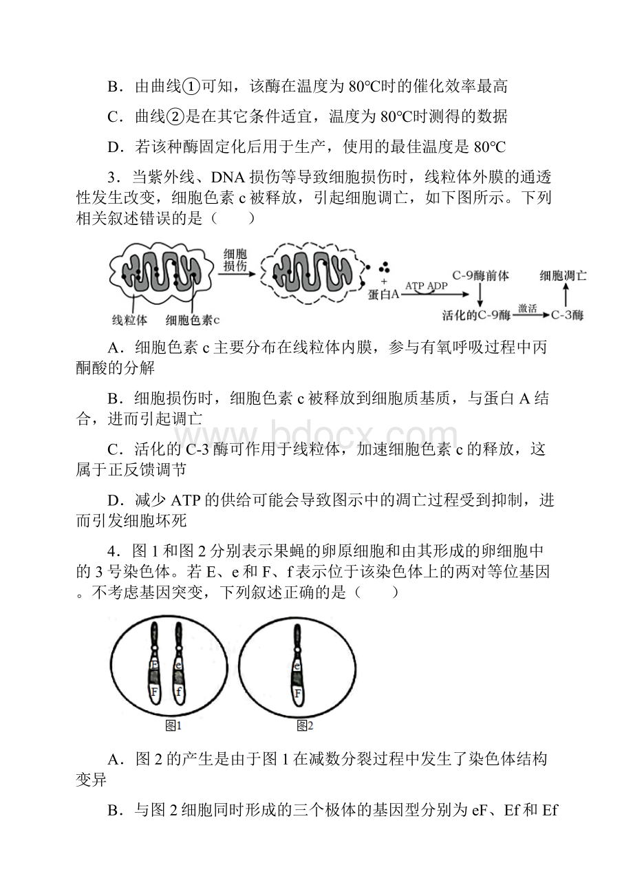 届山东省日照市高三一模生物试题含答案解析.docx_第2页