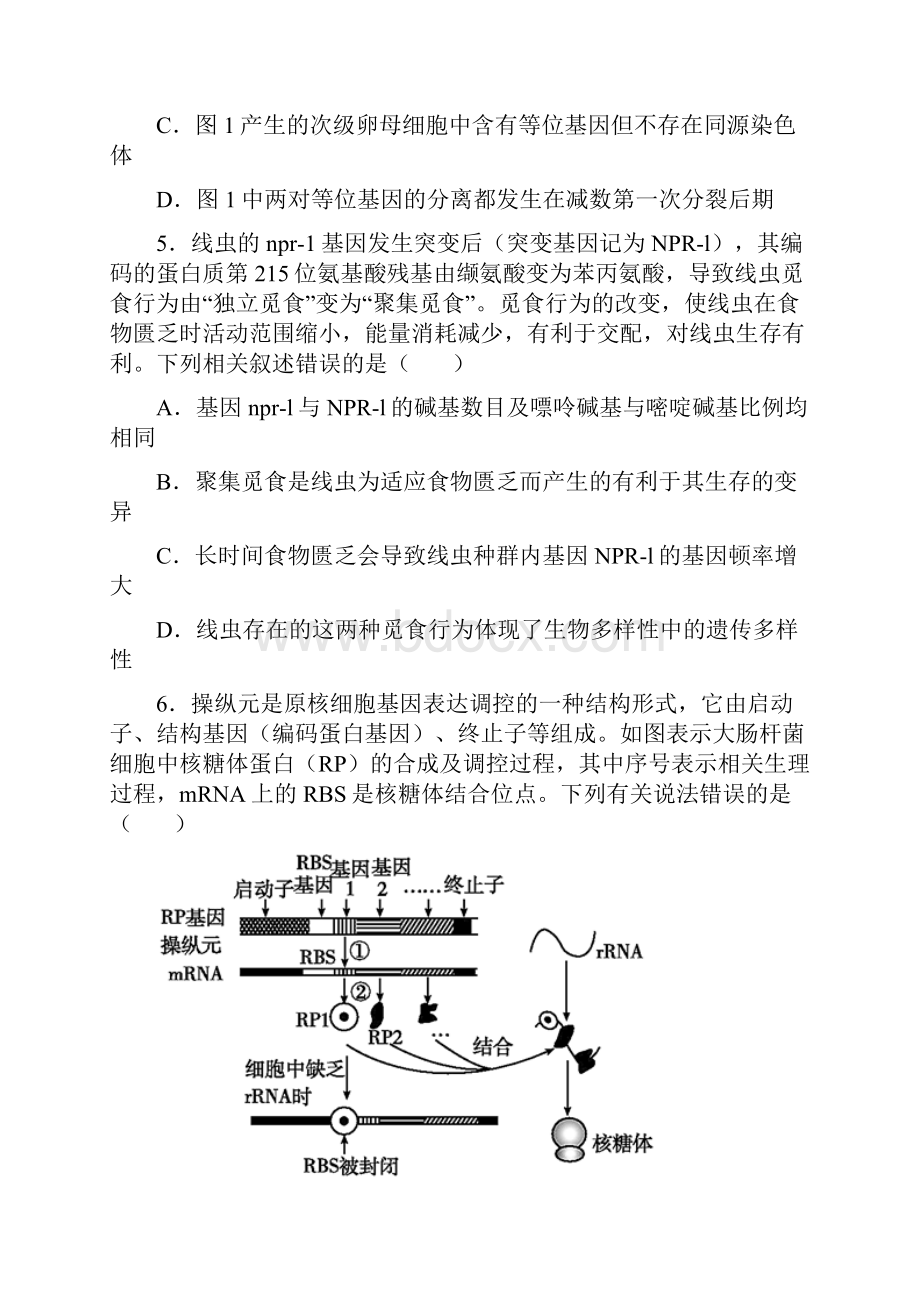 届山东省日照市高三一模生物试题含答案解析.docx_第3页