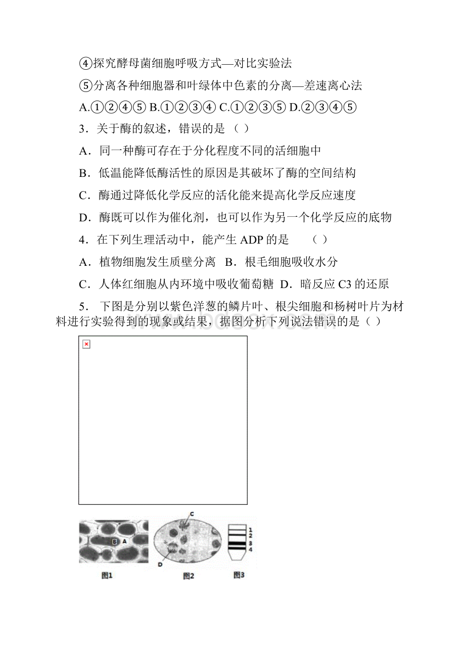 高三上学期第二次月考生物试题 含答案.docx_第2页