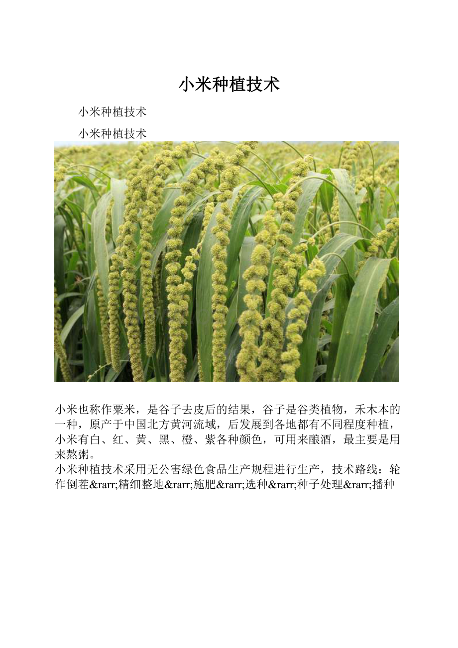 小米种植技术.docx_第1页