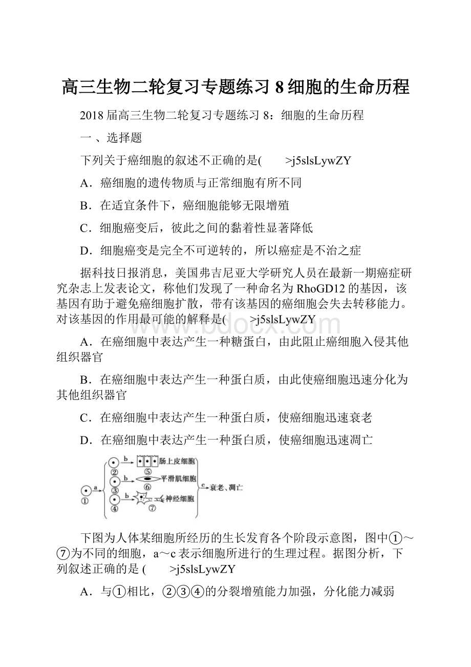 高三生物二轮复习专题练习8细胞的生命历程.docx