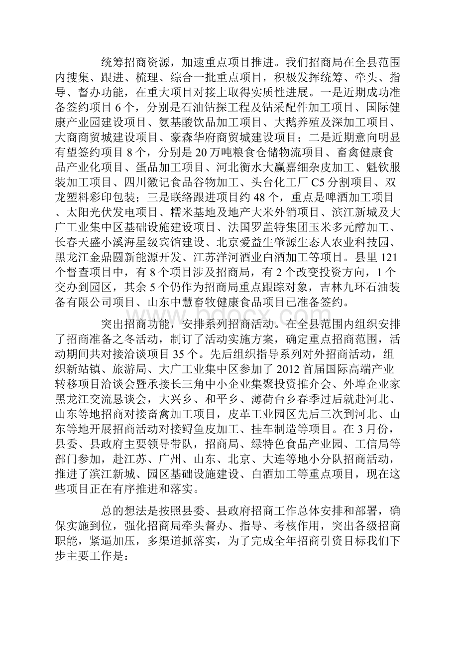 招商工作报告.docx_第2页