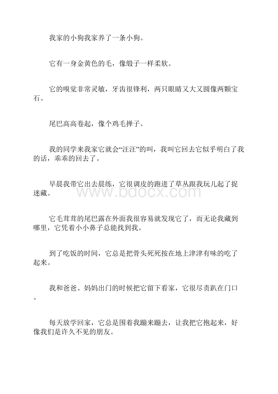 作文题目我家的一只小狗范文.docx_第2页