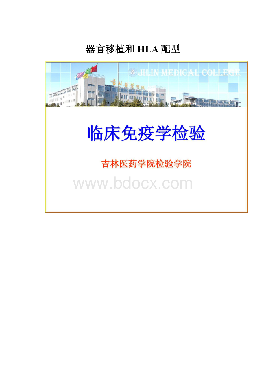 器官移植和HLA配型.docx