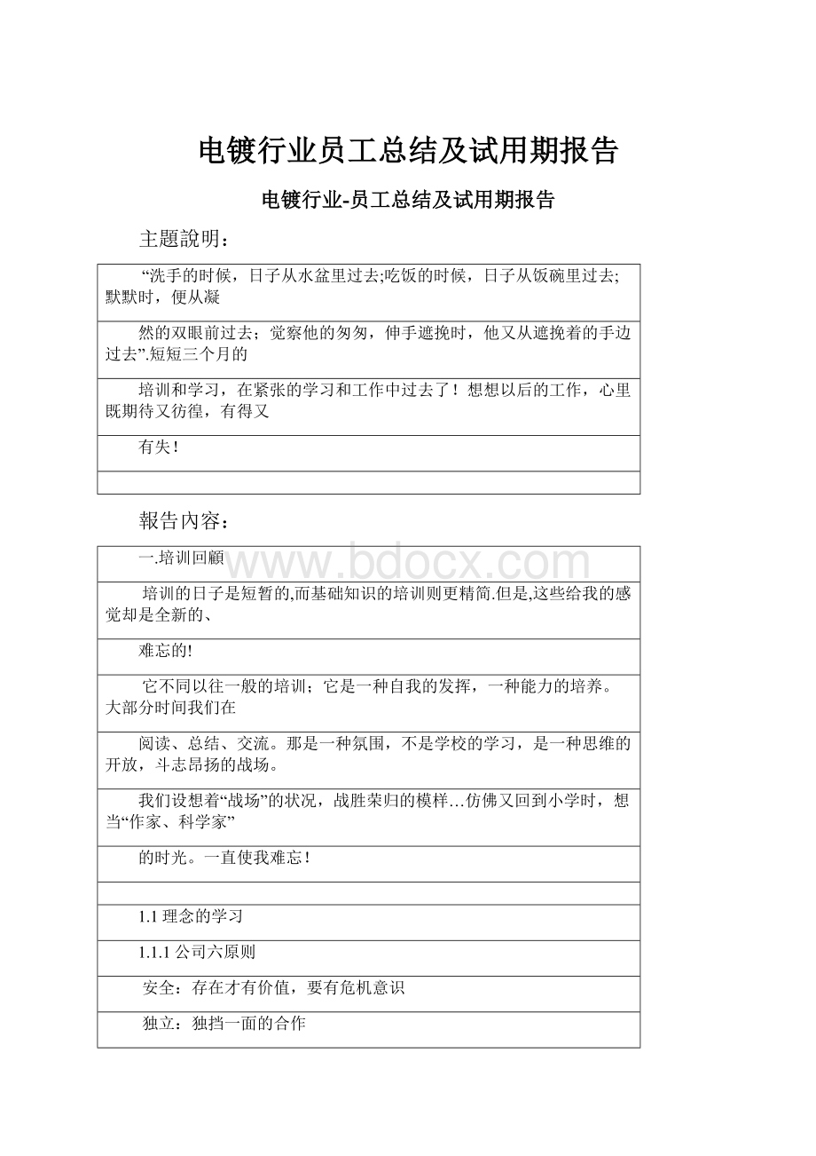 电镀行业员工总结及试用期报告.docx