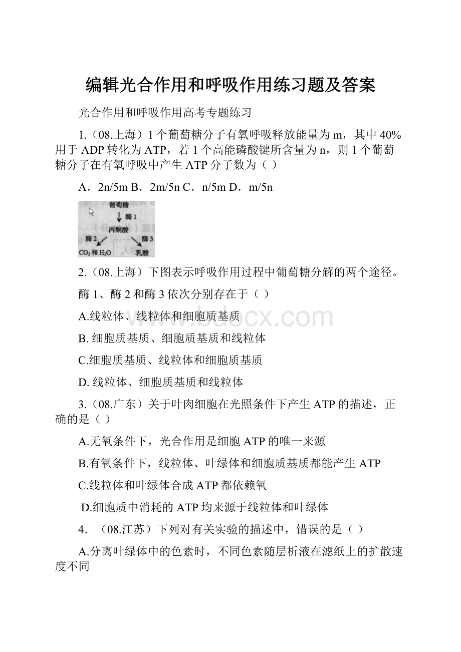 编辑光合作用和呼吸作用练习题及答案.docx