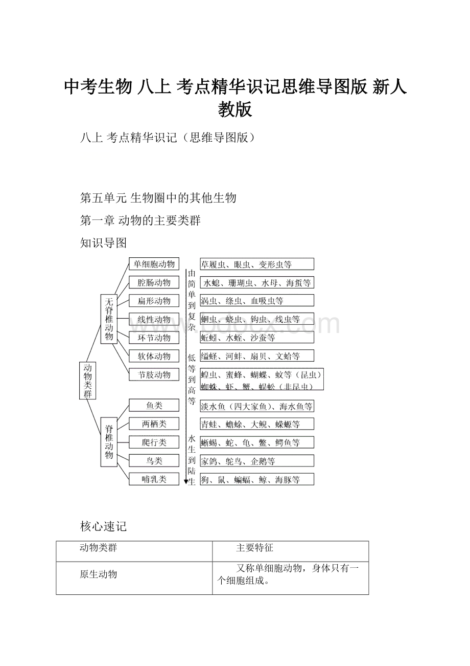 中考生物 八上 考点精华识记思维导图版 新人教版.docx