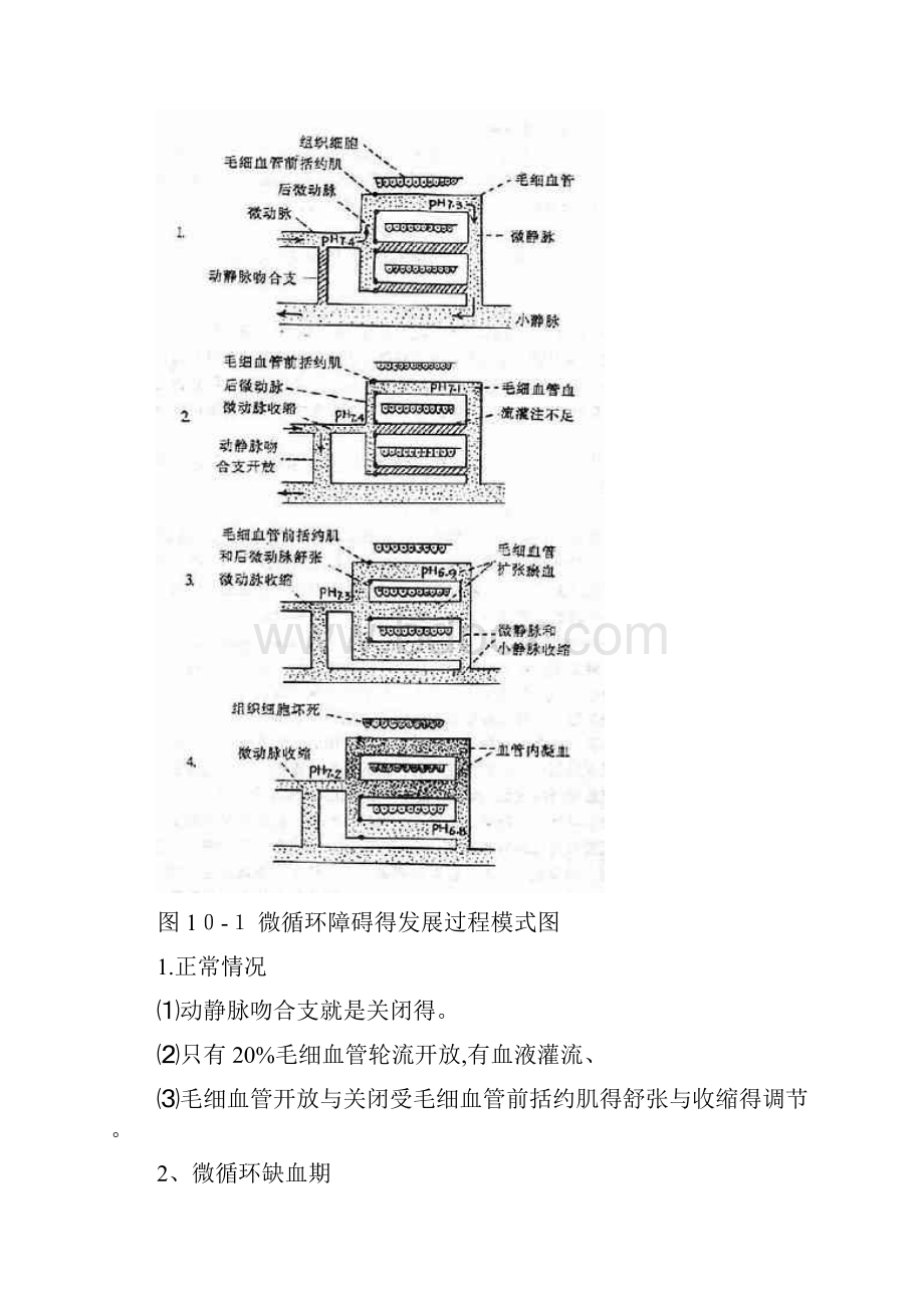 休克的病理生理变化.docx_第3页