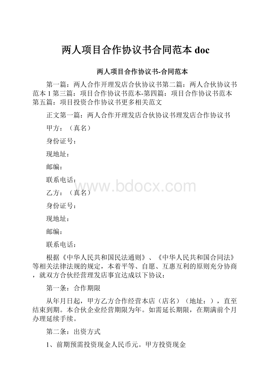 两人项目合作协议书合同范本doc.docx