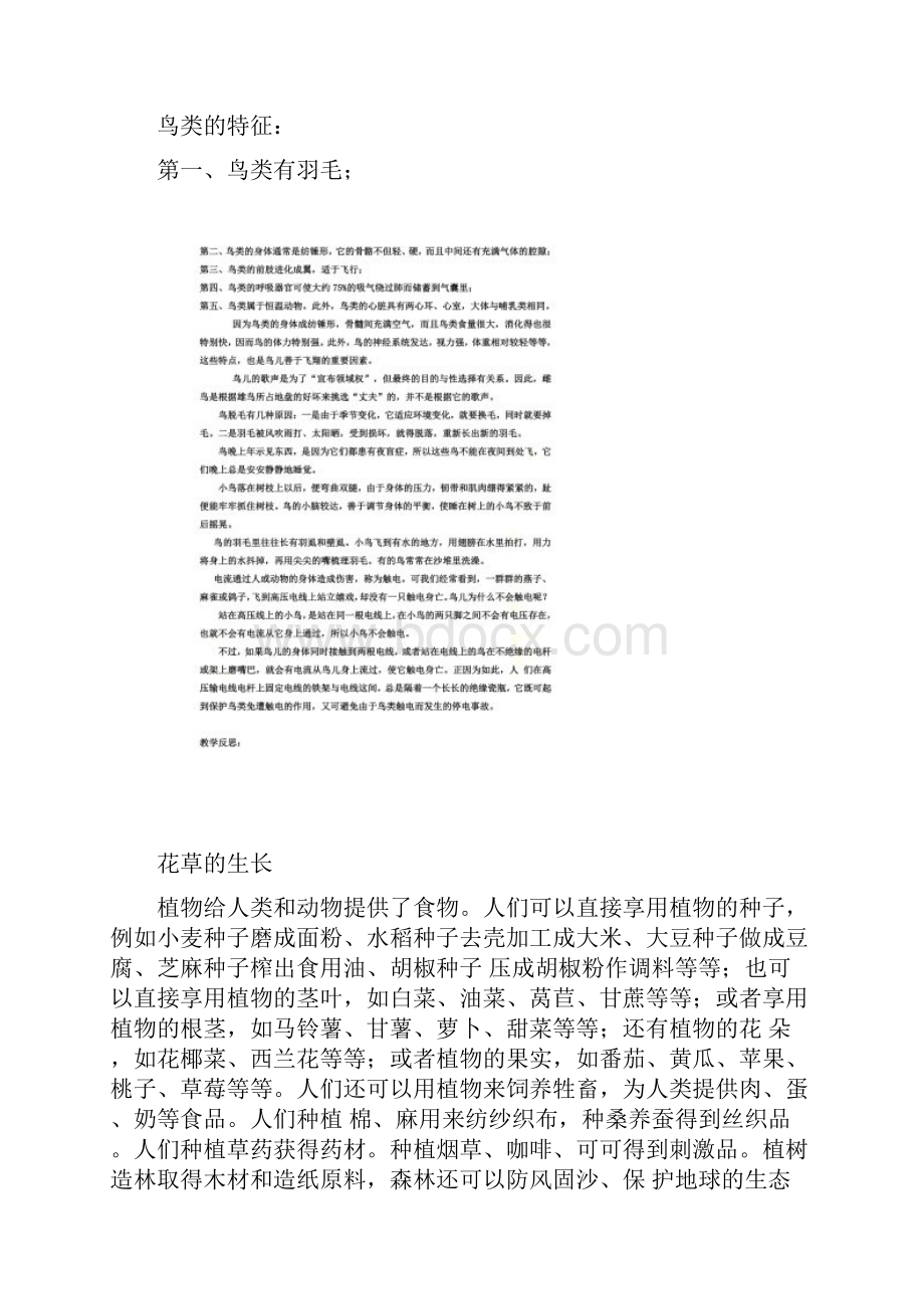 四年级下册综合实践与活动教案冀教版.docx_第2页