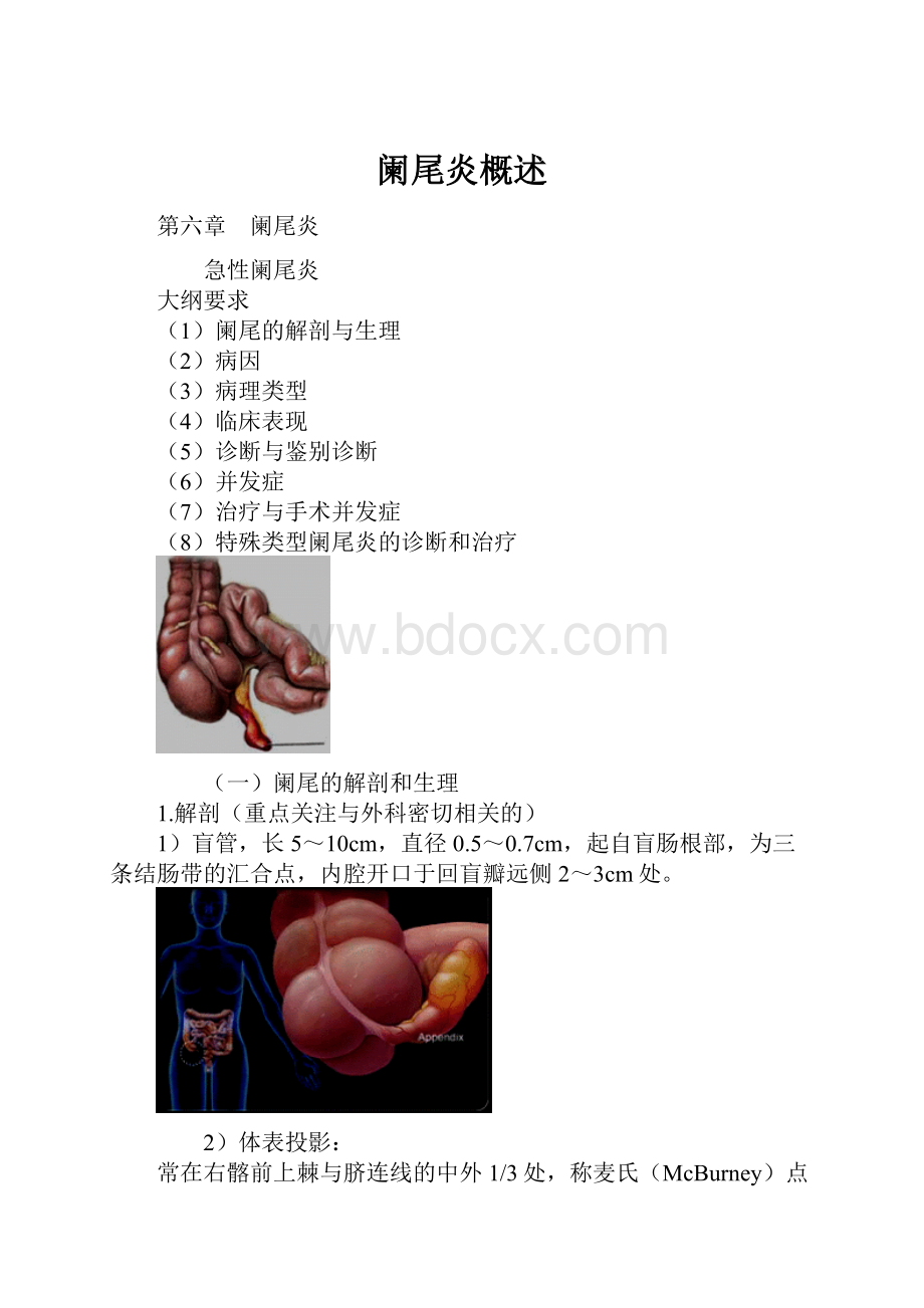 阑尾炎概述.docx