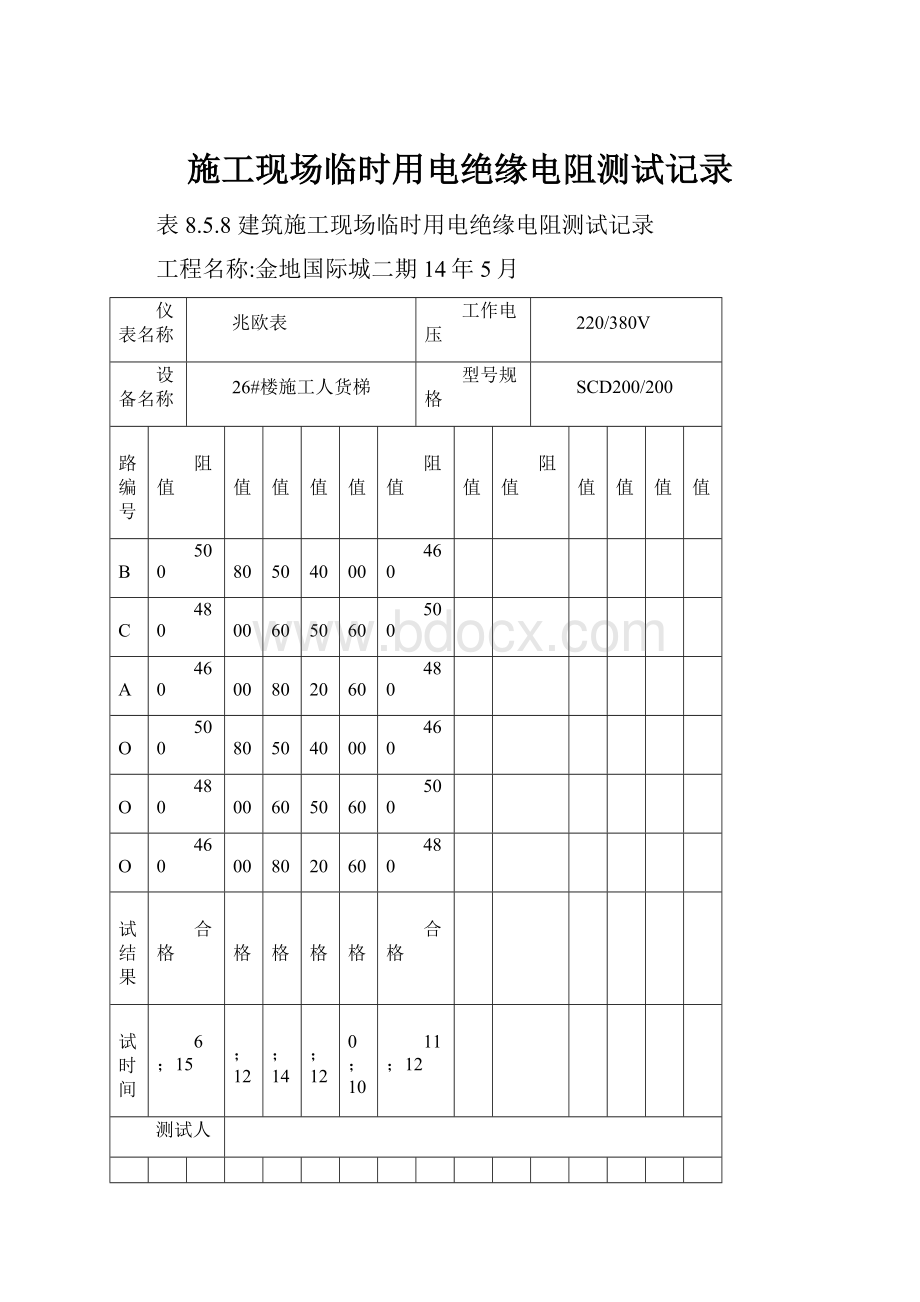 施工现场临时用电绝缘电阻测试记录.docx