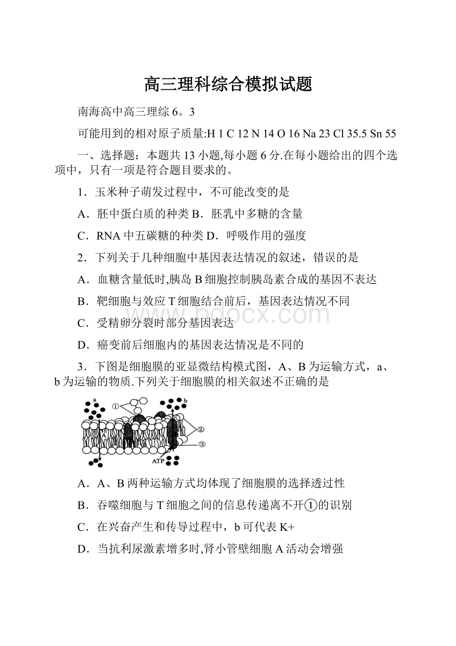 高三理科综合模拟试题.docx_第1页