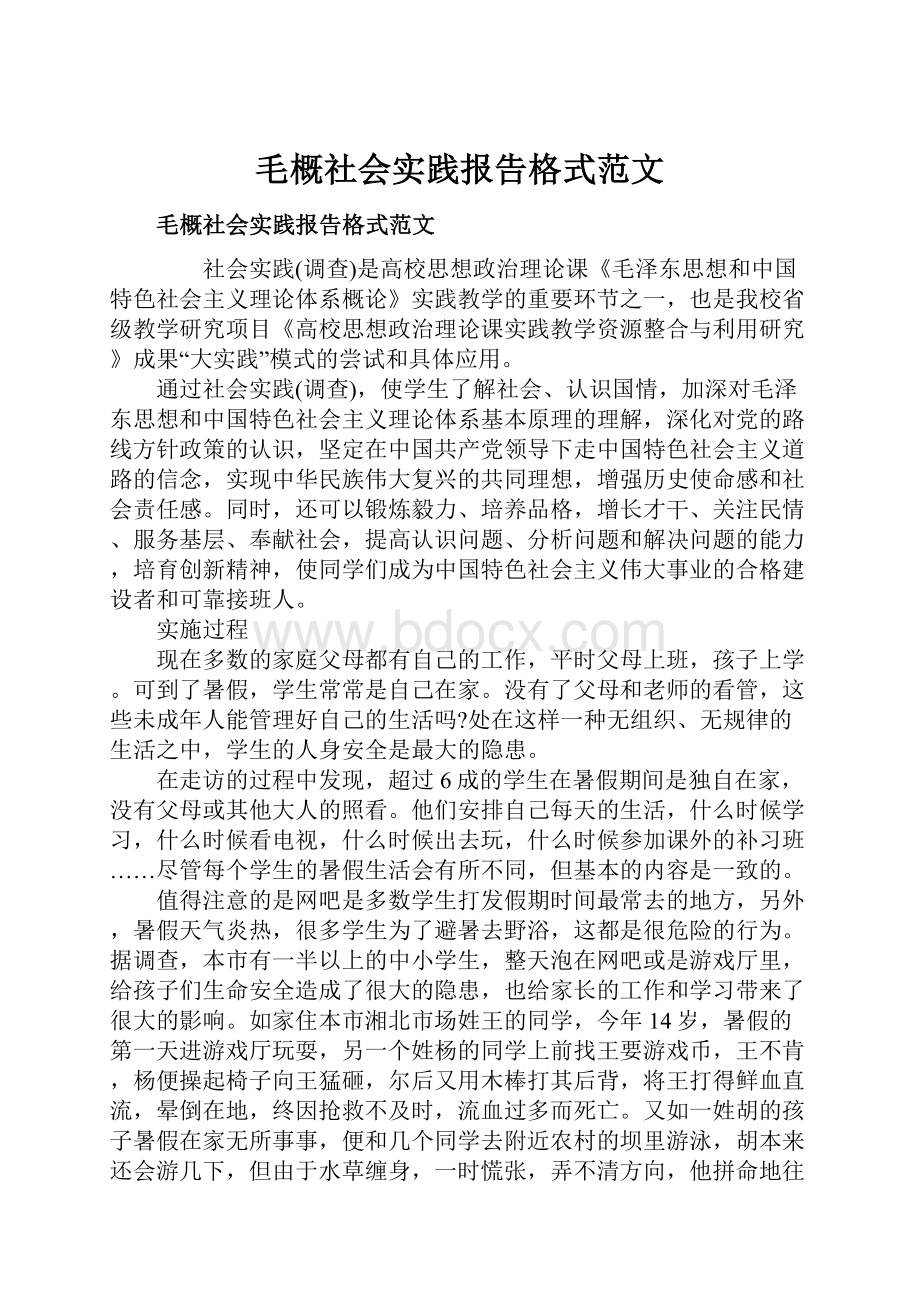 毛概社会实践报告格式范文.docx