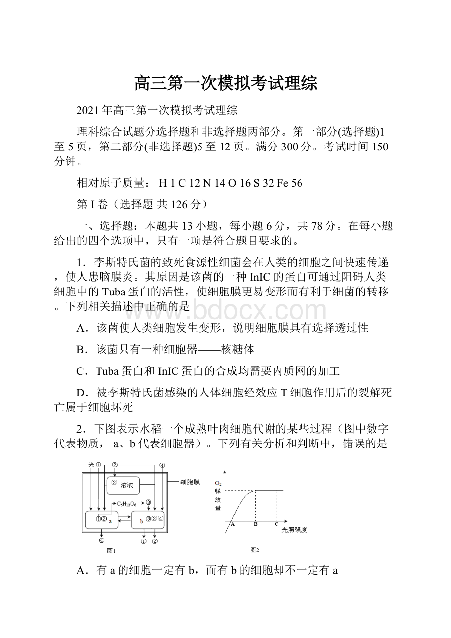 高三第一次模拟考试理综.docx