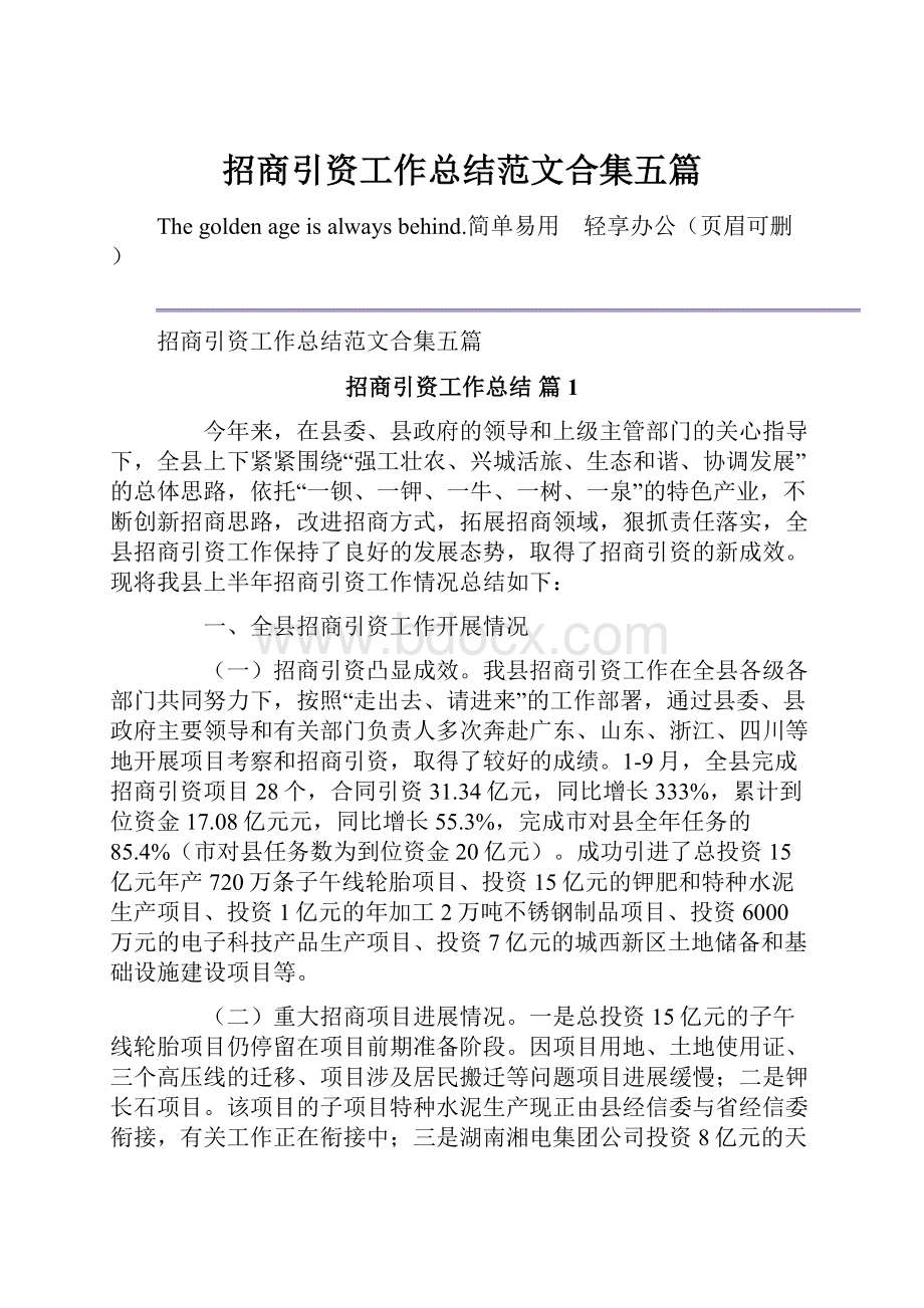 招商引资工作总结范文合集五篇.docx