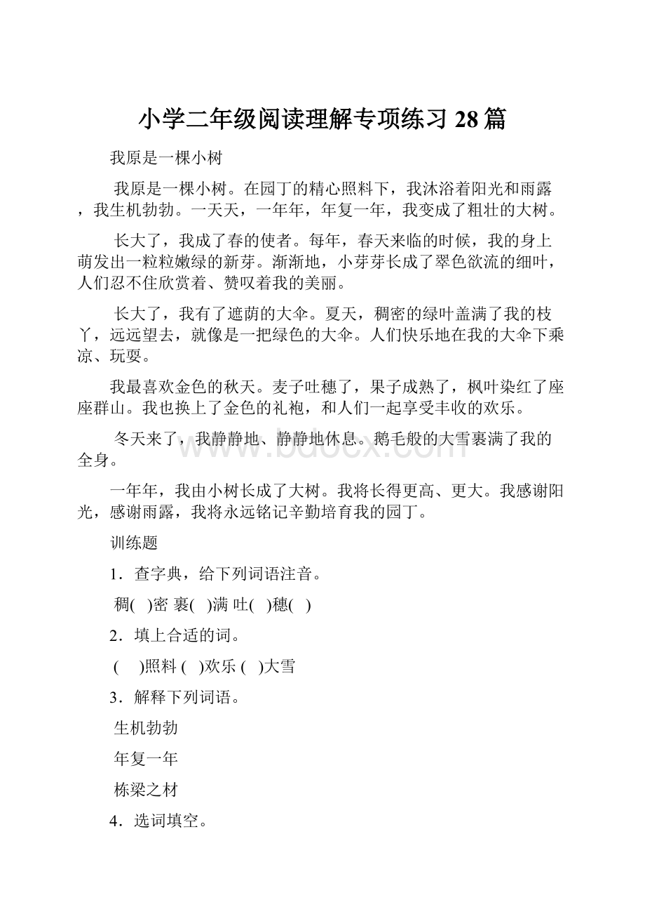 小学二年级阅读理解专项练习28篇.docx