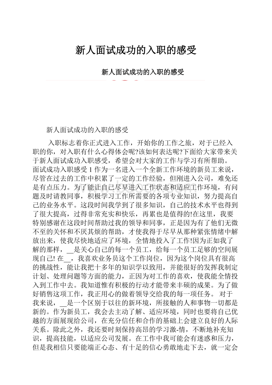 新人面试成功的入职的感受.docx