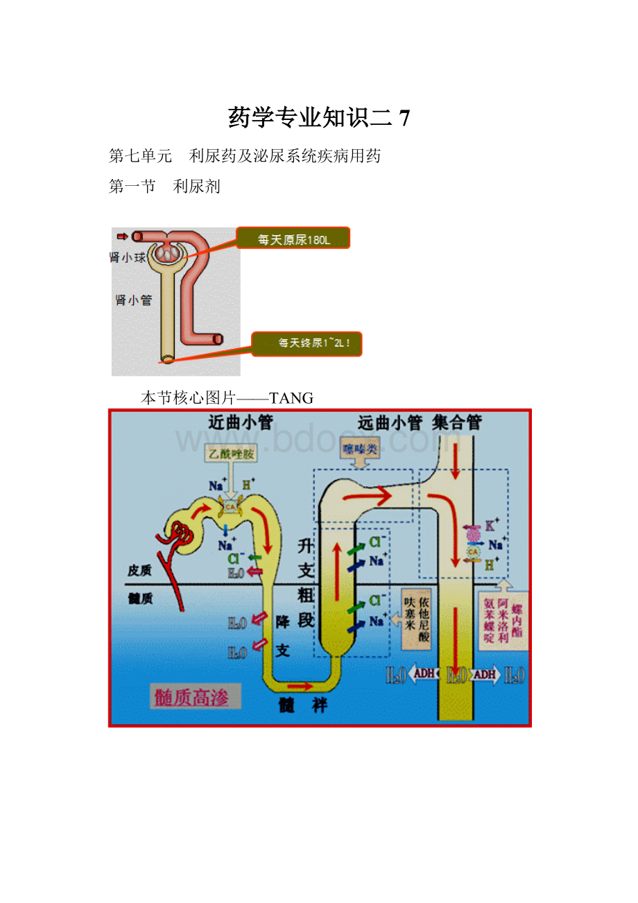 药学专业知识二7.docx