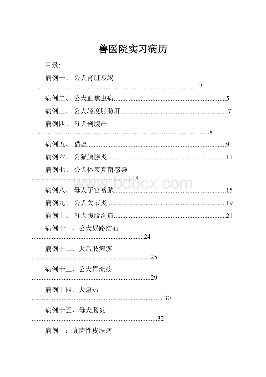 兽医院实习病历.docx_第1页