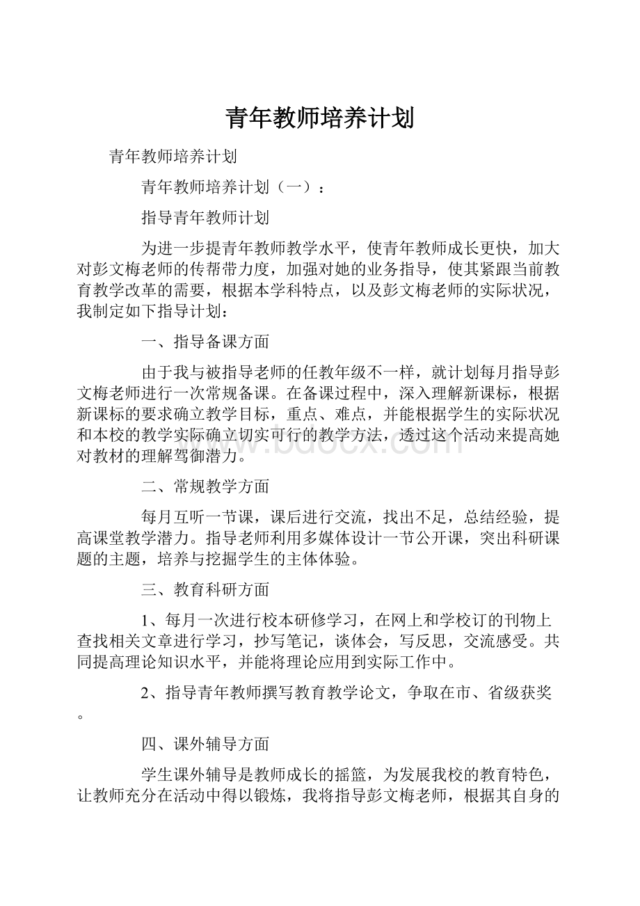 青年教师培养计划.docx