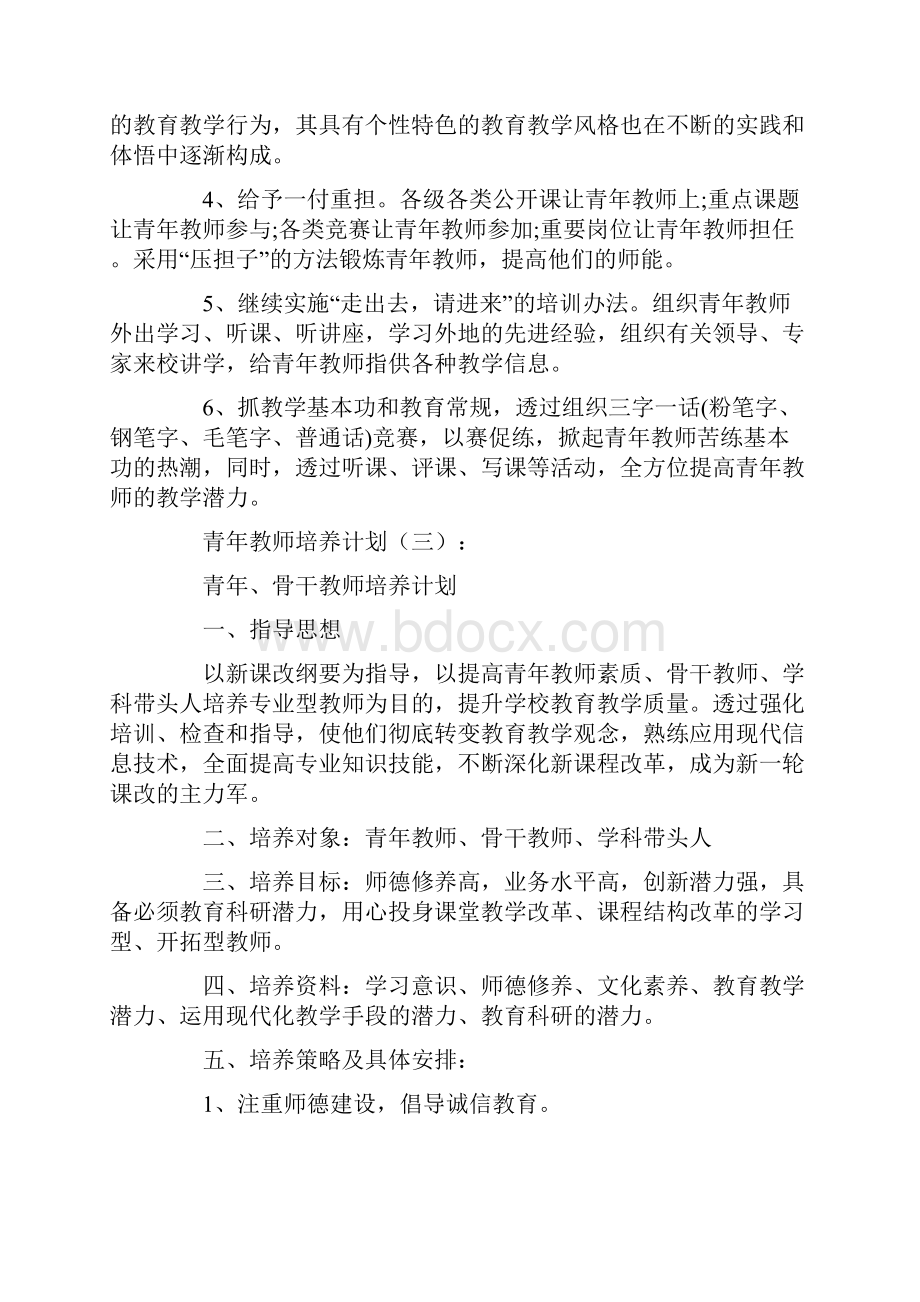 青年教师培养计划.docx_第3页