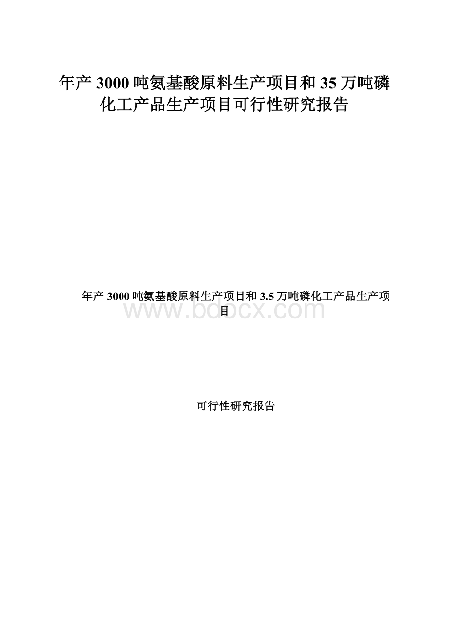 年产3000吨氨基酸原料生产项目和35万吨磷化工产品生产项目可行性研究报告.docx_第1页