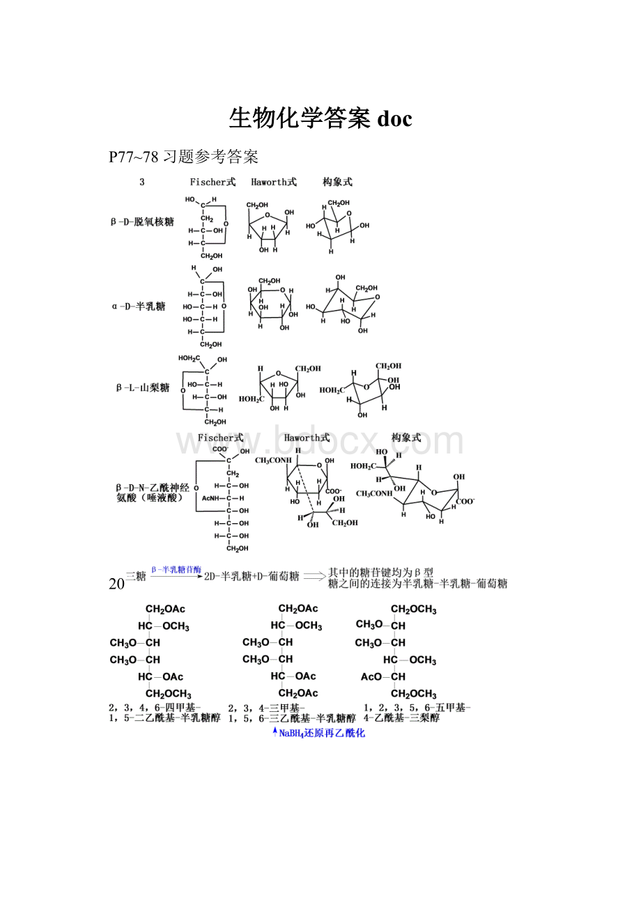 生物化学答案doc.docx