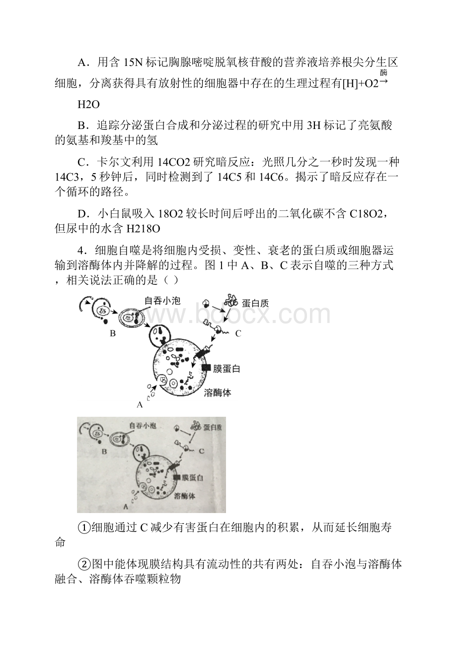 届北京市清华大学附属中学高三上学期开学摸底考试生物试题.docx_第2页