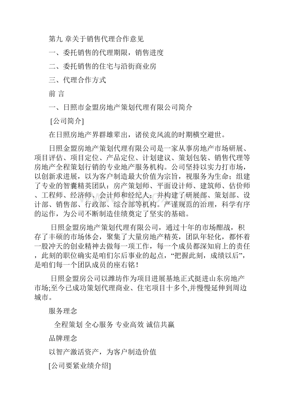 金水岸策划方案.docx_第3页