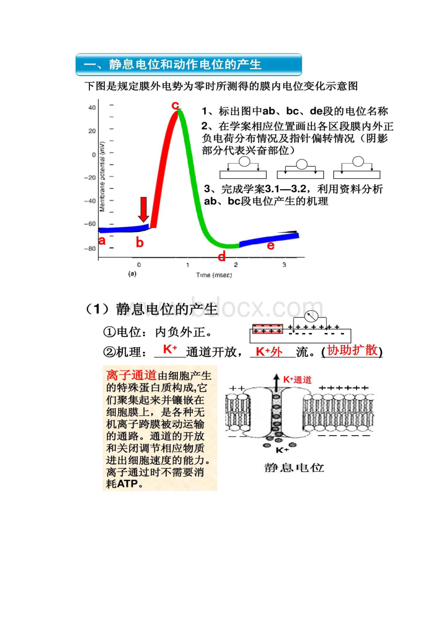 通过神经系统的调节复习课件好.docx_第2页