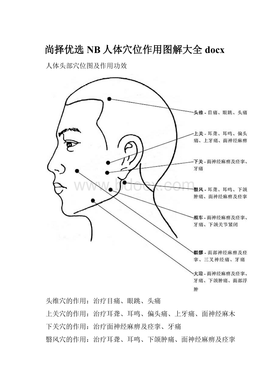 尚择优选NB人体穴位作用图解大全docx.docx