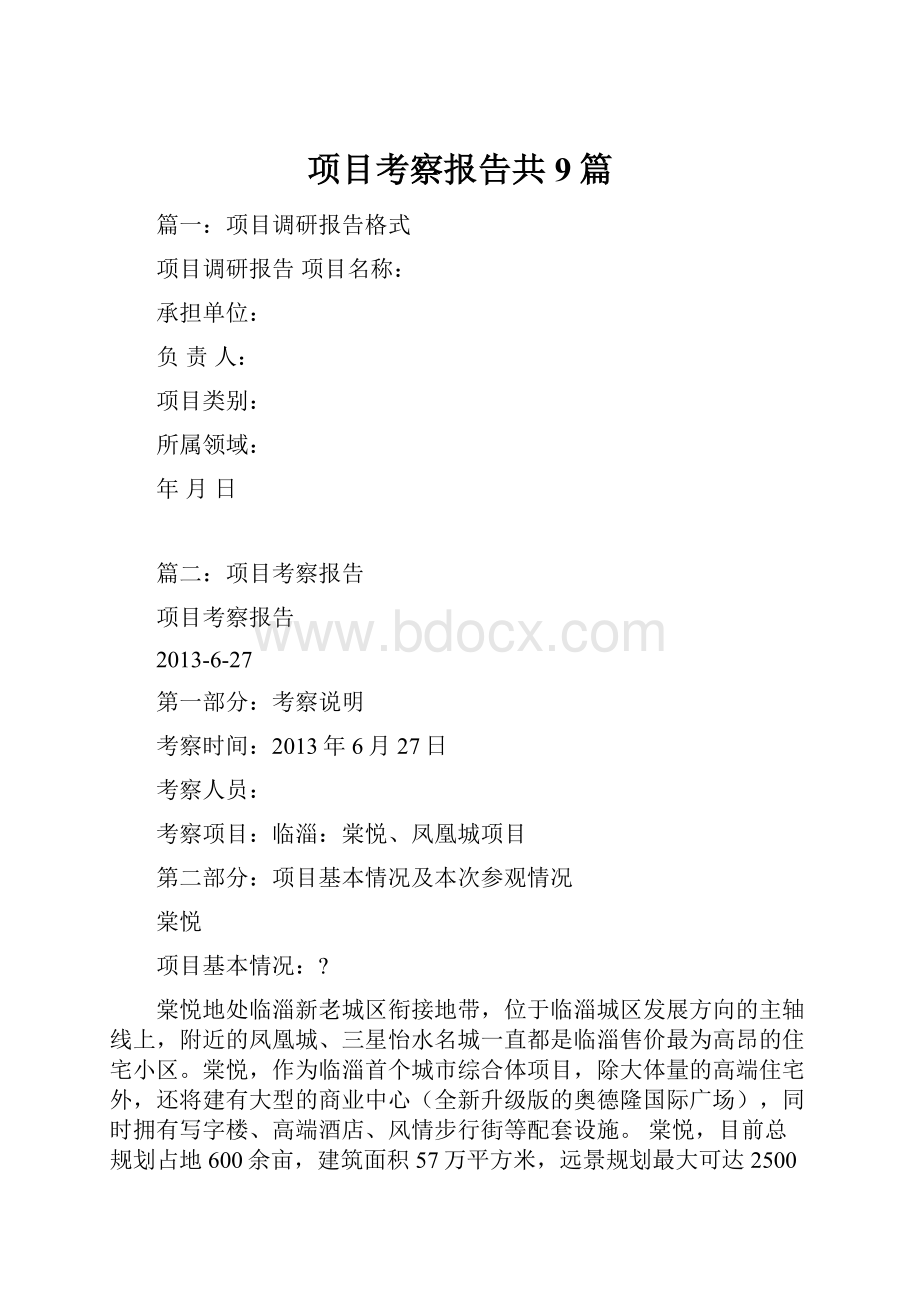 项目考察报告共9篇.docx