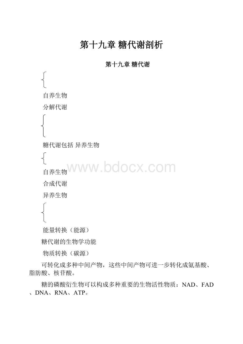 第十九章糖代谢剖析.docx