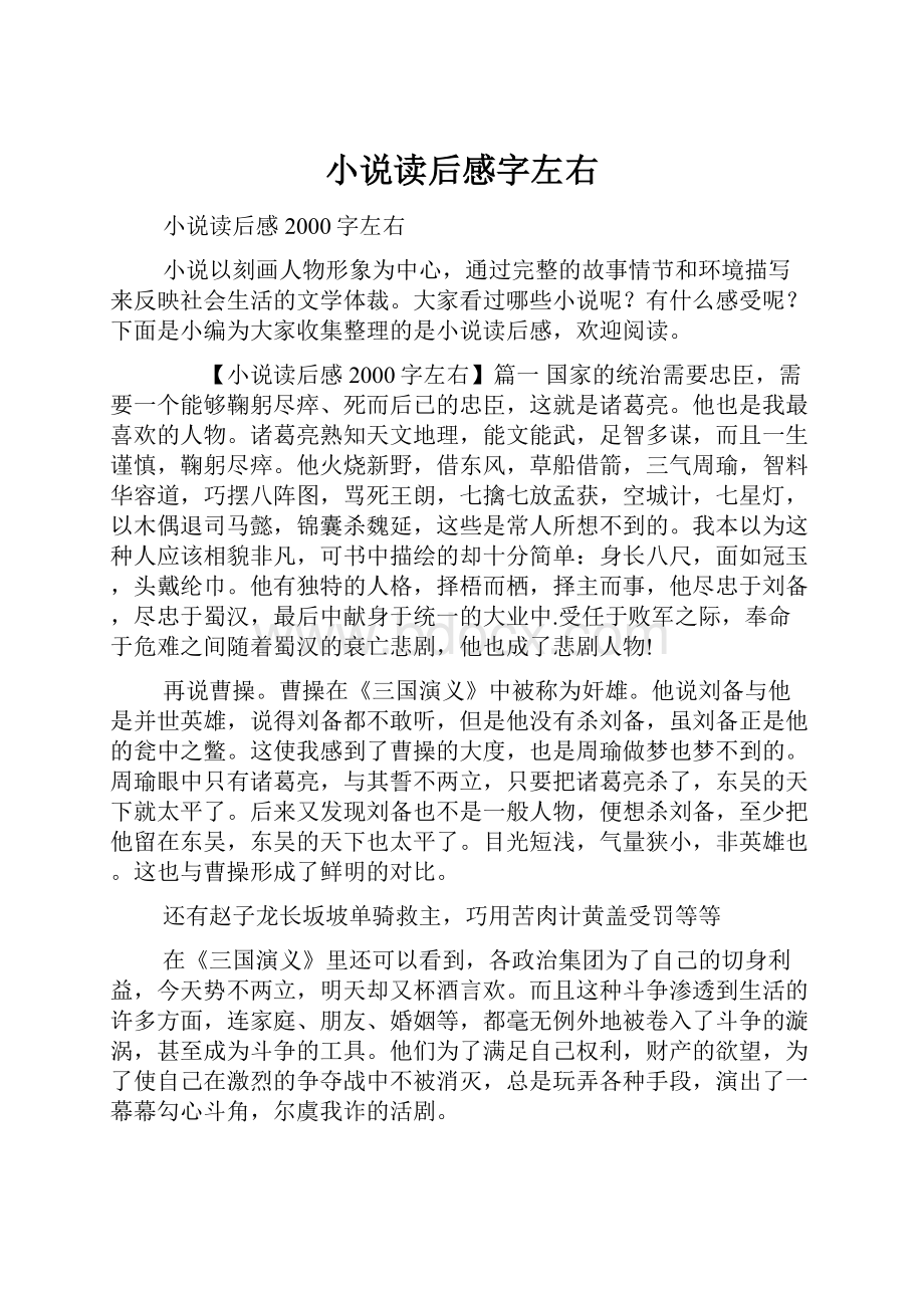 小说读后感字左右.docx