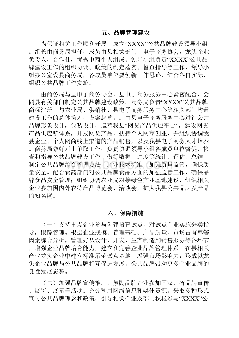 县域公共品牌培育完整方案设计.docx_第3页