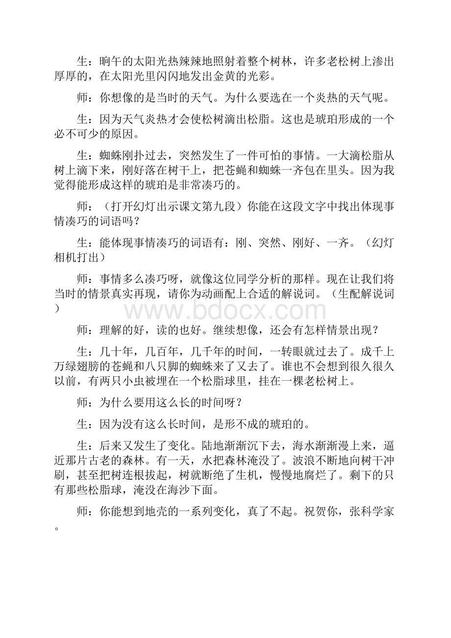 琥珀课堂实录王玲湘.docx_第3页