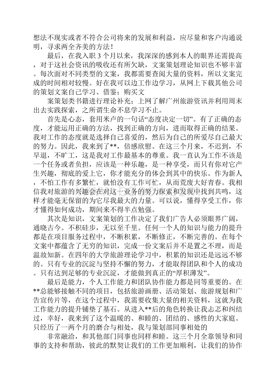 文案策划工作总结报告.docx_第3页