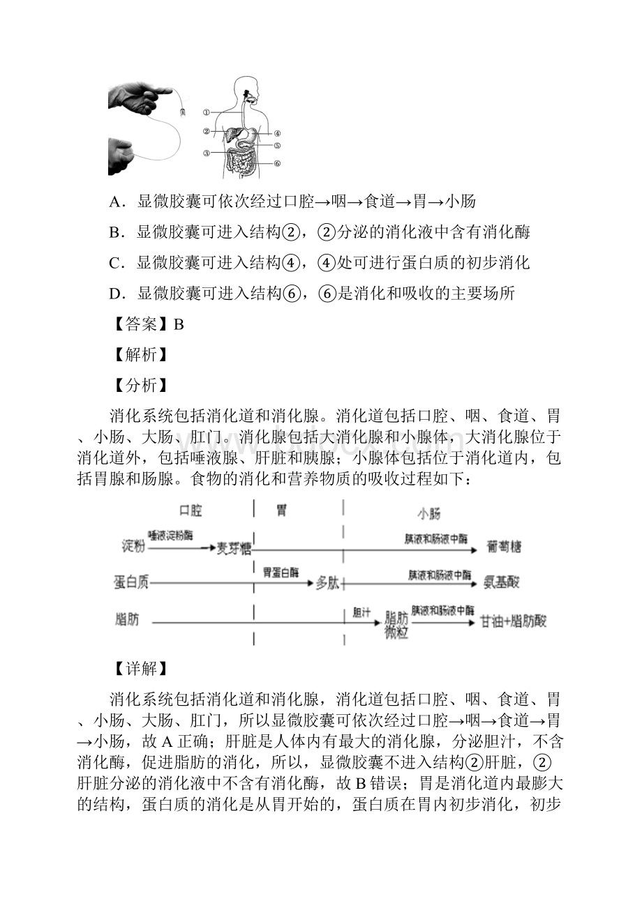 人教版七年级生物《生物圈中的人》知识点.docx_第3页