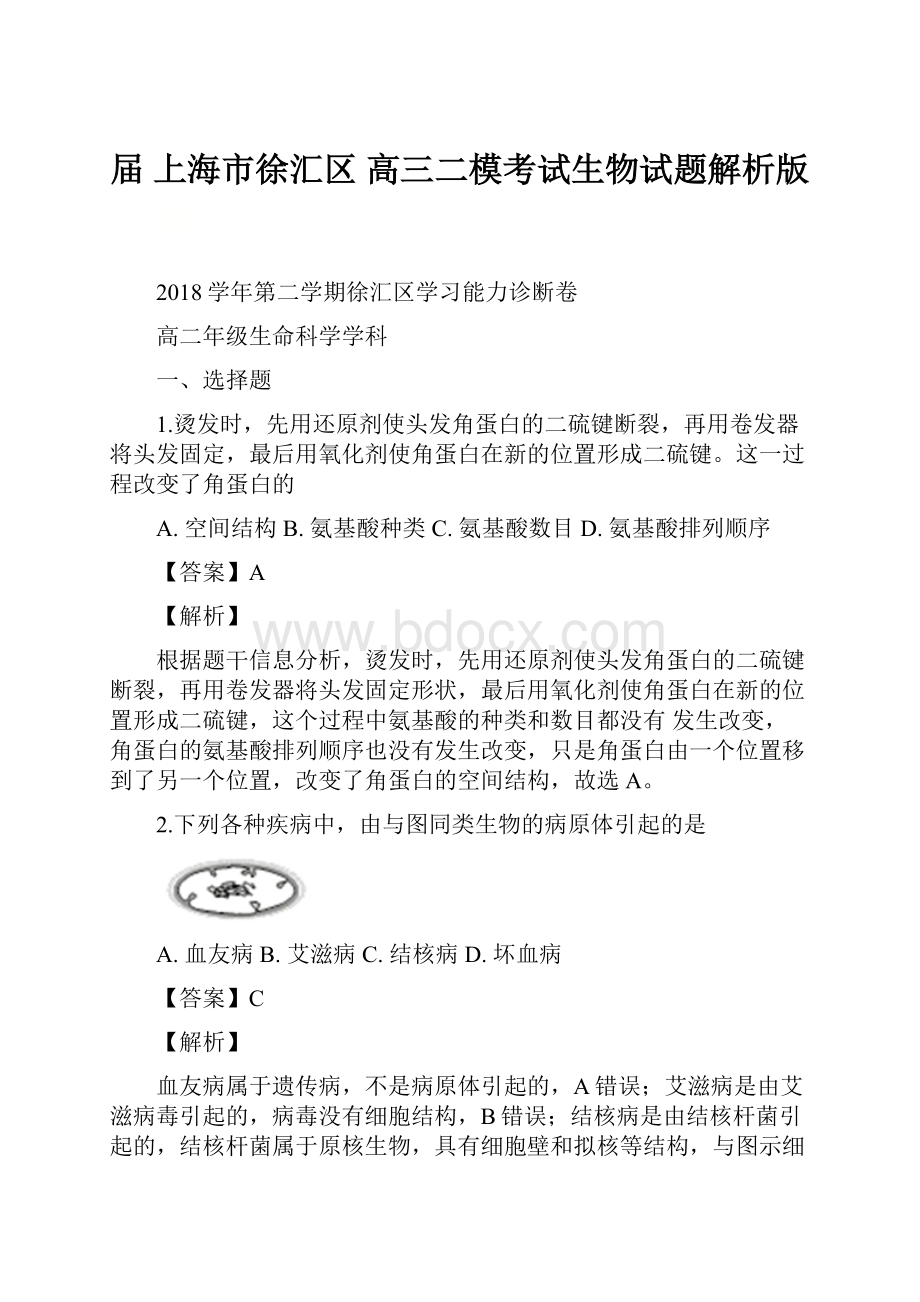 届上海市徐汇区高三二模考试生物试题解析版.docx_第1页