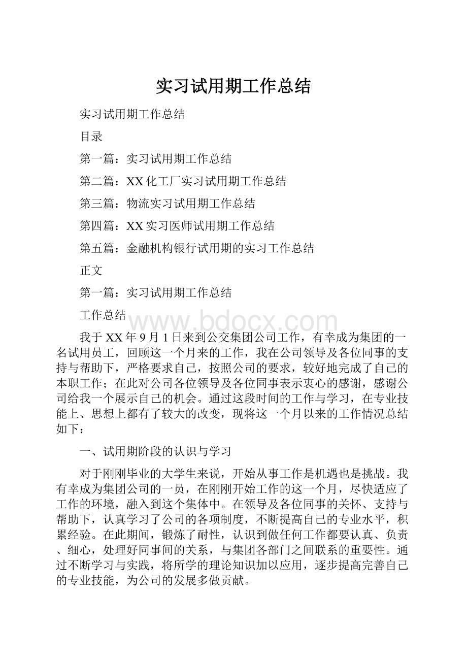 实习试用期工作总结.docx_第1页