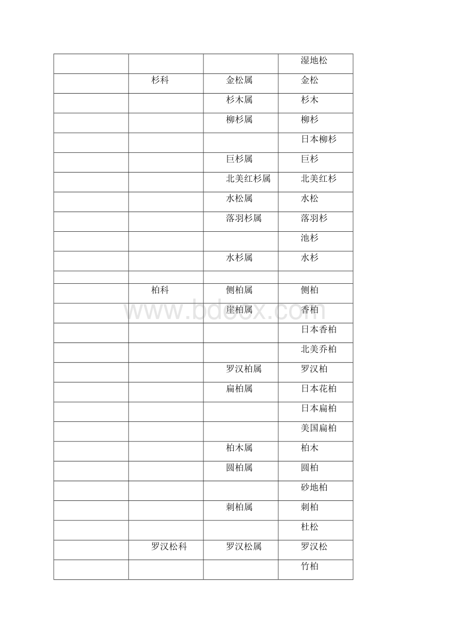 最新整理植物分科属检索表说课材料.docx_第3页