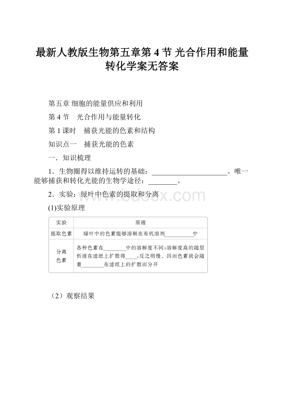 最新人教版生物第五章第4节 光合作用和能量转化学案无答案.docx_第1页