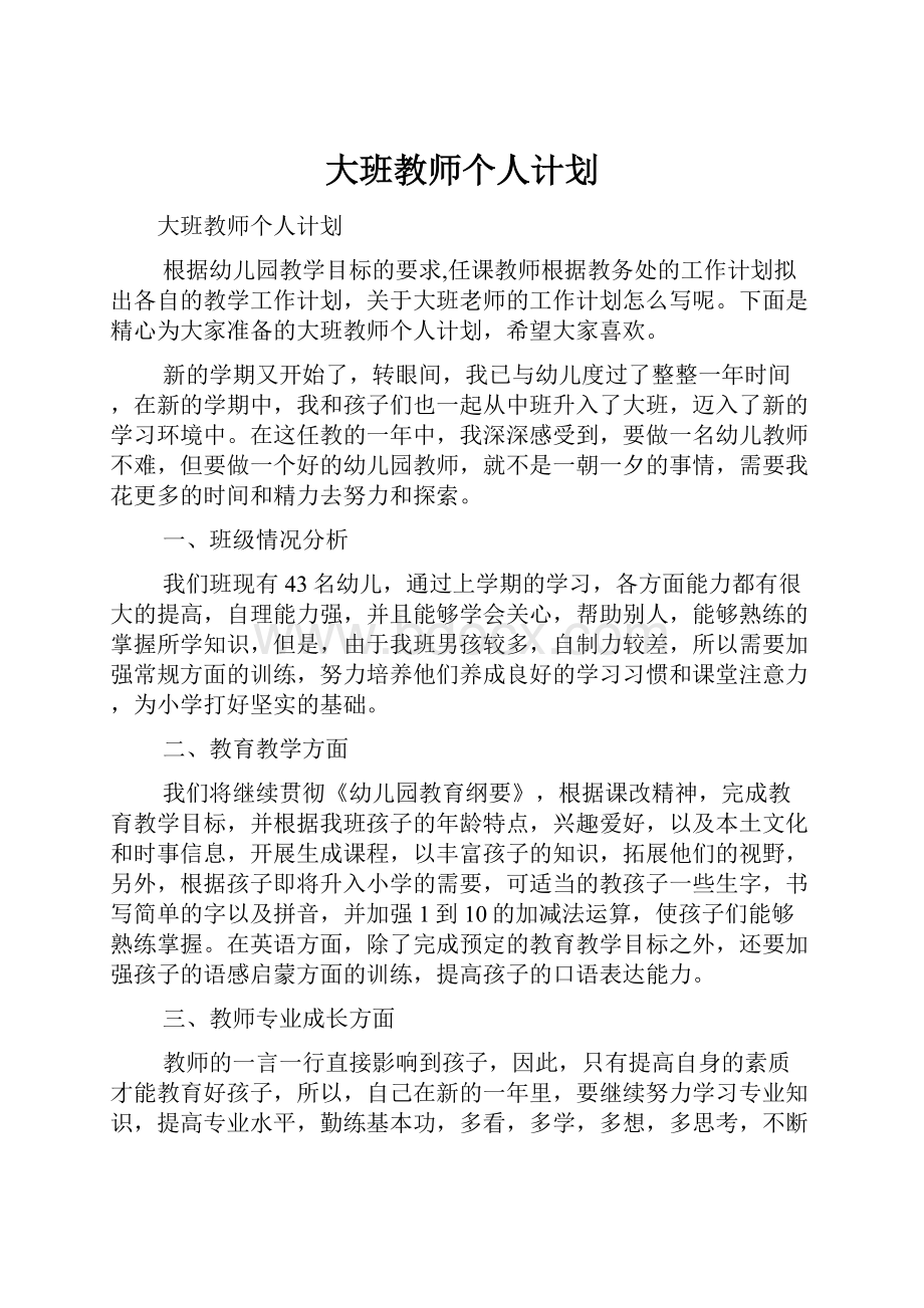 大班教师个人计划.docx