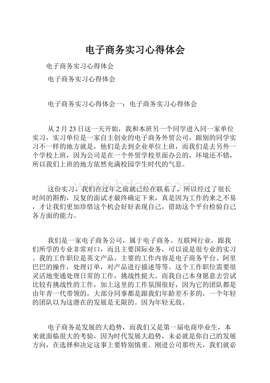 电子商务实习心得体会.docx