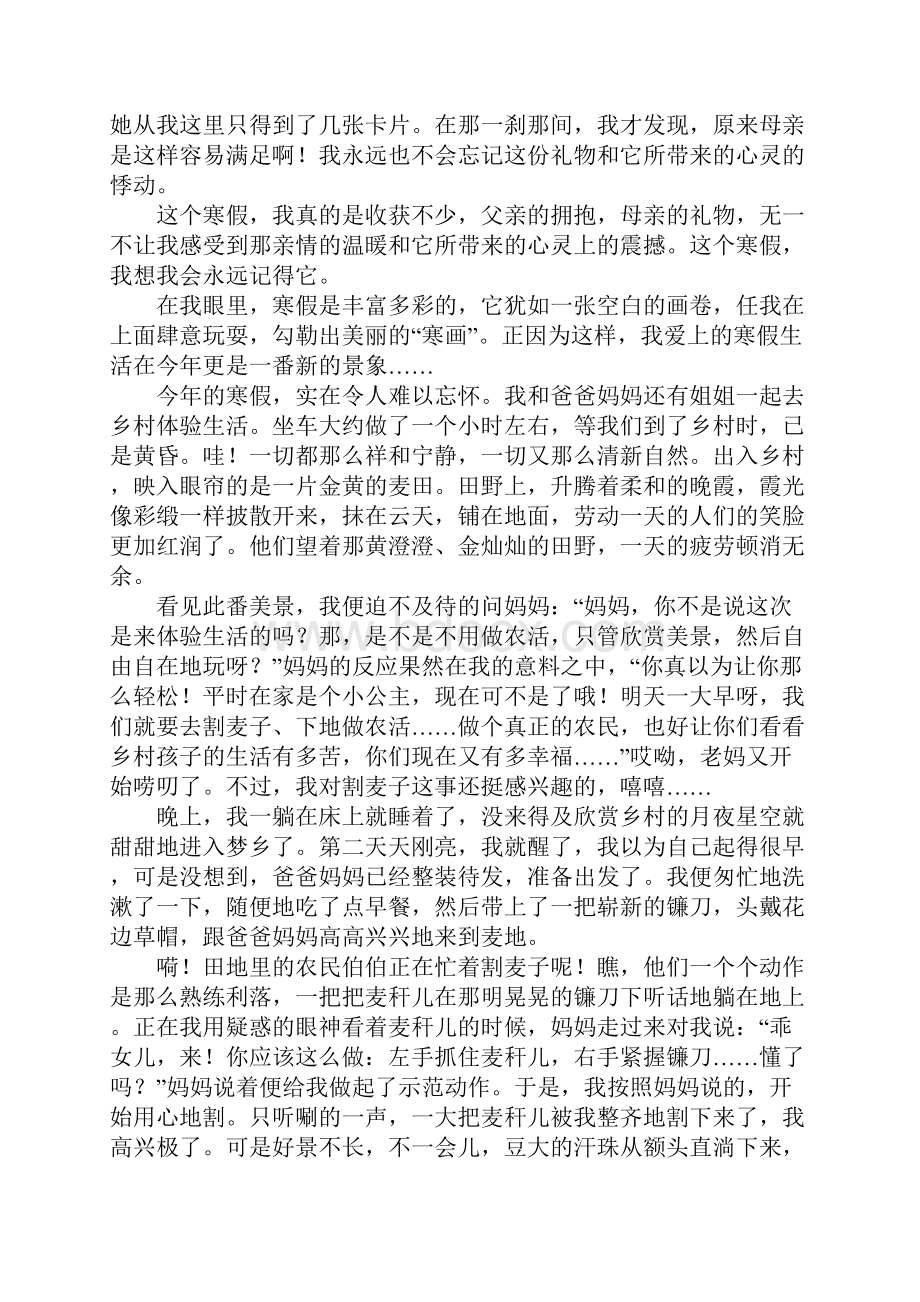 难忘的寒假作文800字精选24篇.docx_第2页