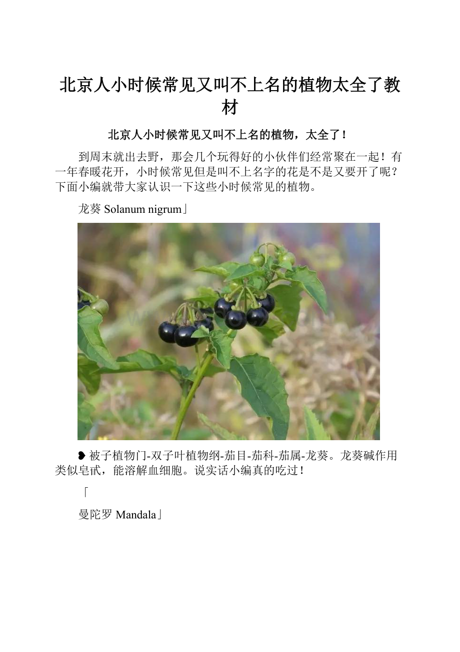 北京人小时候常见又叫不上名的植物太全了教材.docx_第1页