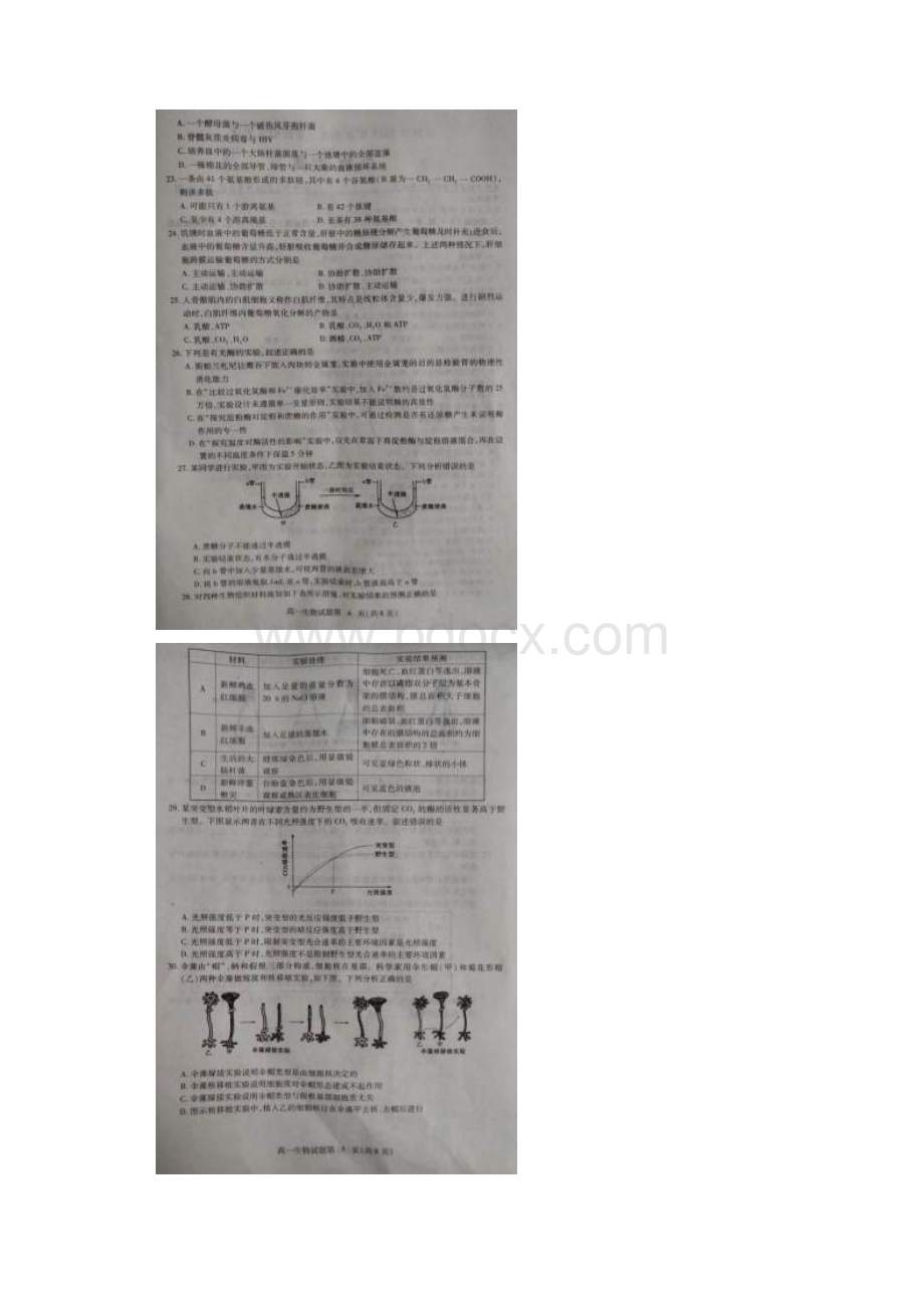 湖北省黄冈市学年高一生物上学期期末考试试题扫描版含答案 师生通用.docx_第3页